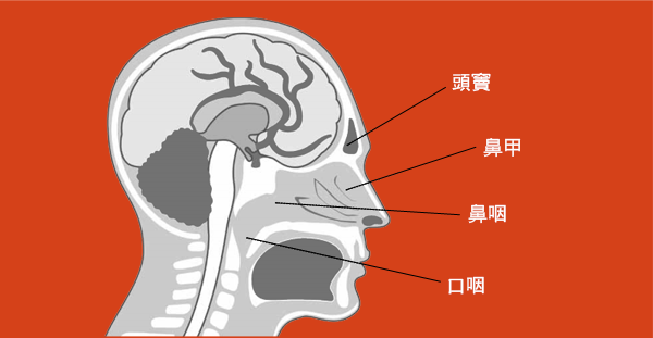 desktop_Nasopharyngeal_Cancer_chi