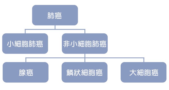 lung cancer
