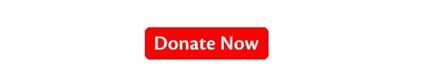 Donate now button