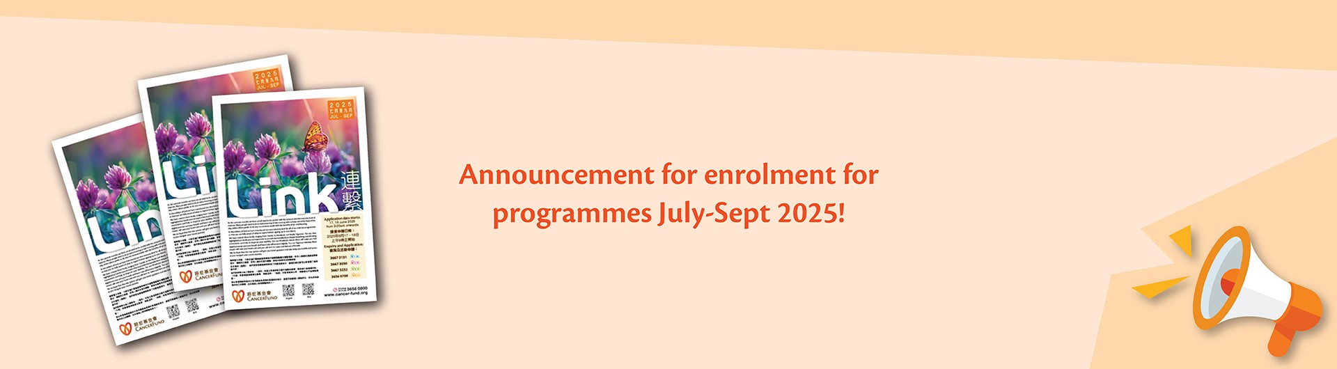 Programme application process
