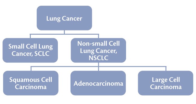 lung cancer